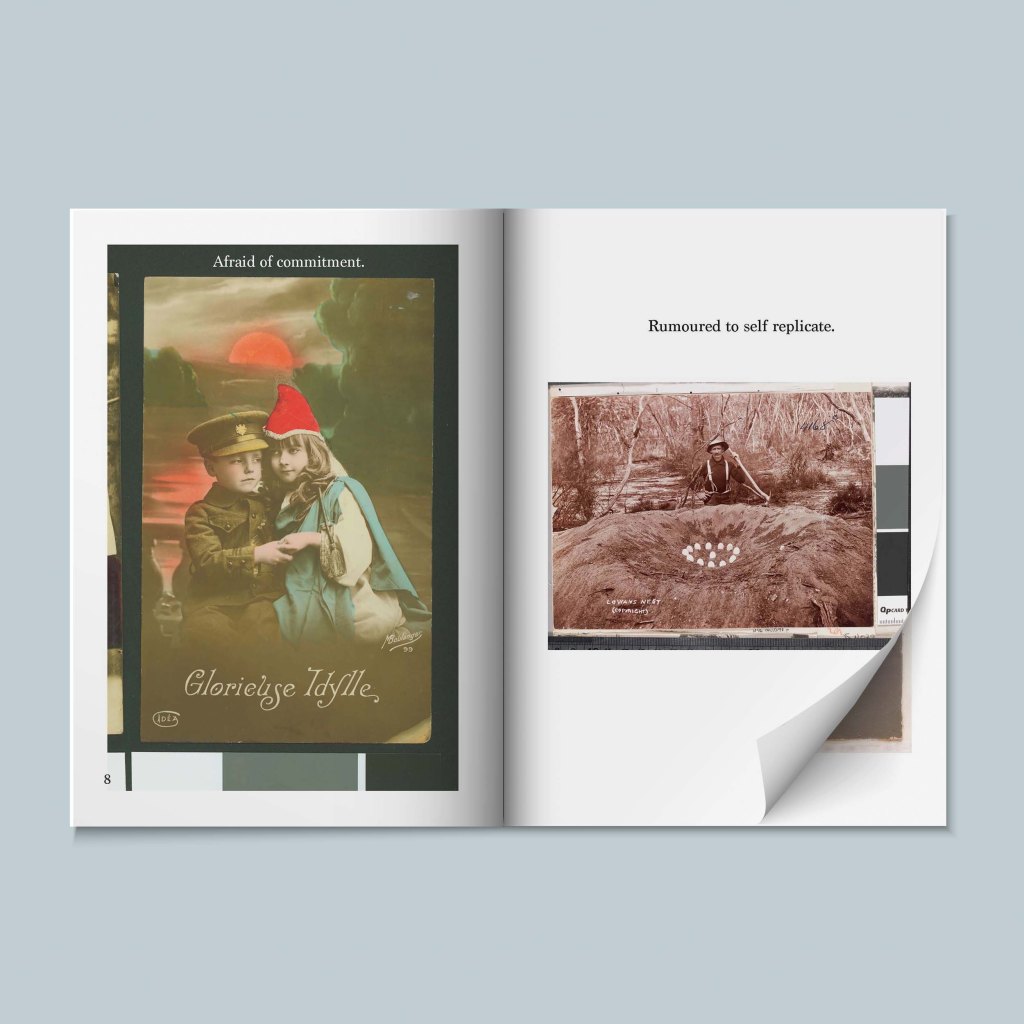 Page spreads use floating captions and page numbers to create a playful sense on unease.